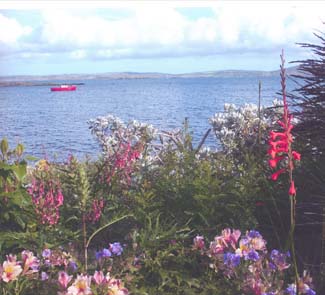 Cois Cuain Gardens - Bantry County Cork Ireland